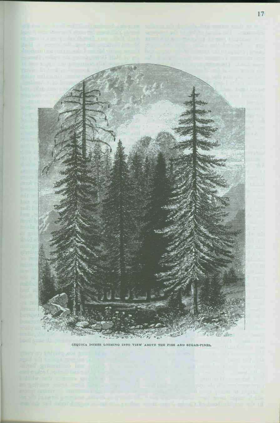 The Proposed Yosemite National Park--treasures & features, 1890. vis0003g